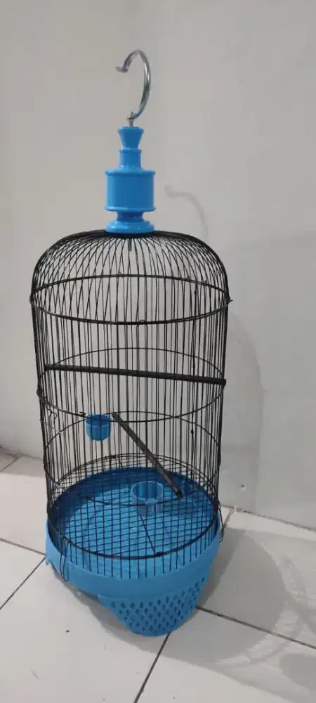 Kandang love bird