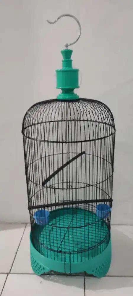 Kandang love bird