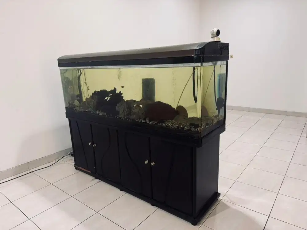 Aquarium besar dan bagus