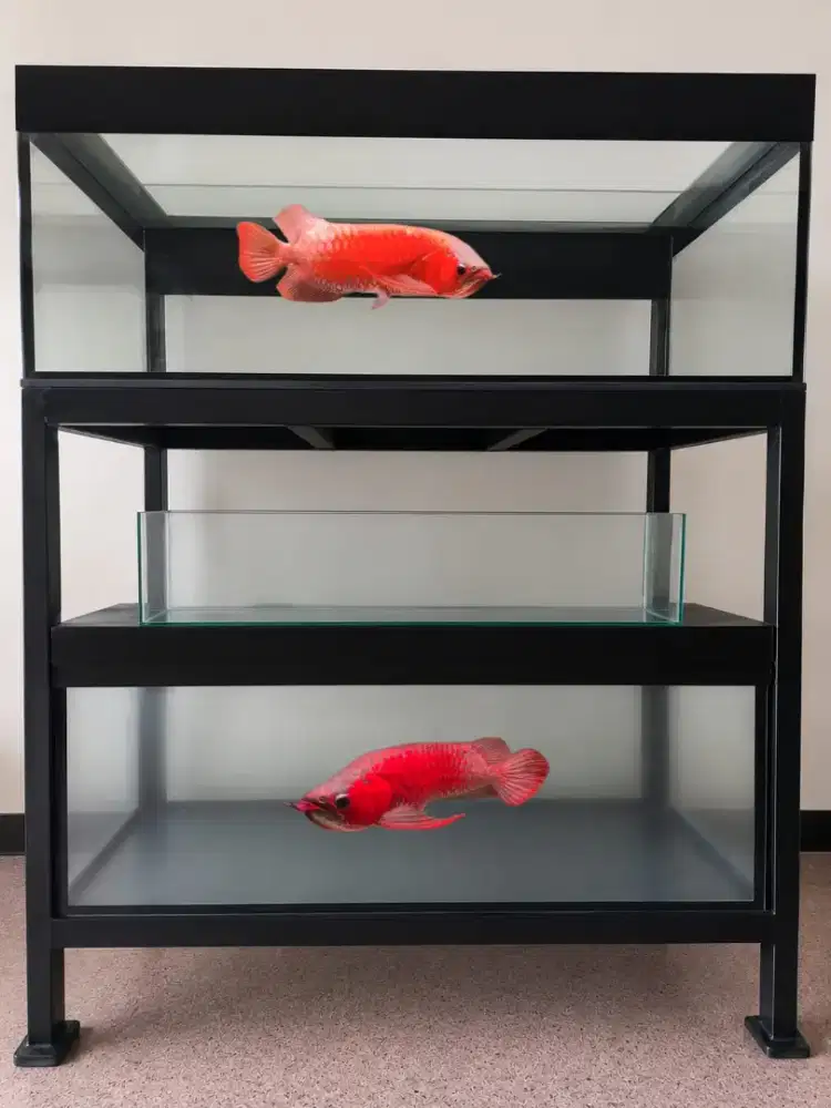 AQUARIUM BEKAS SPT BARU