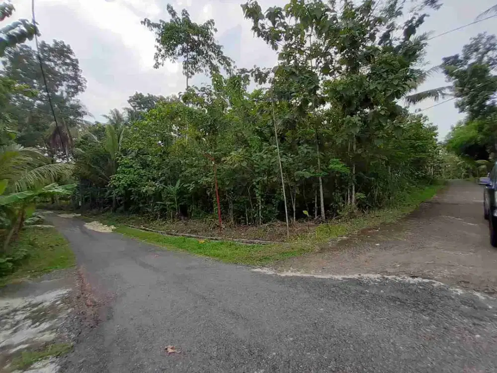Tanah Pekarangan Di jl. Wates-Yogyakarta Dekat Perumahan Citragrand dan Kampus UMY