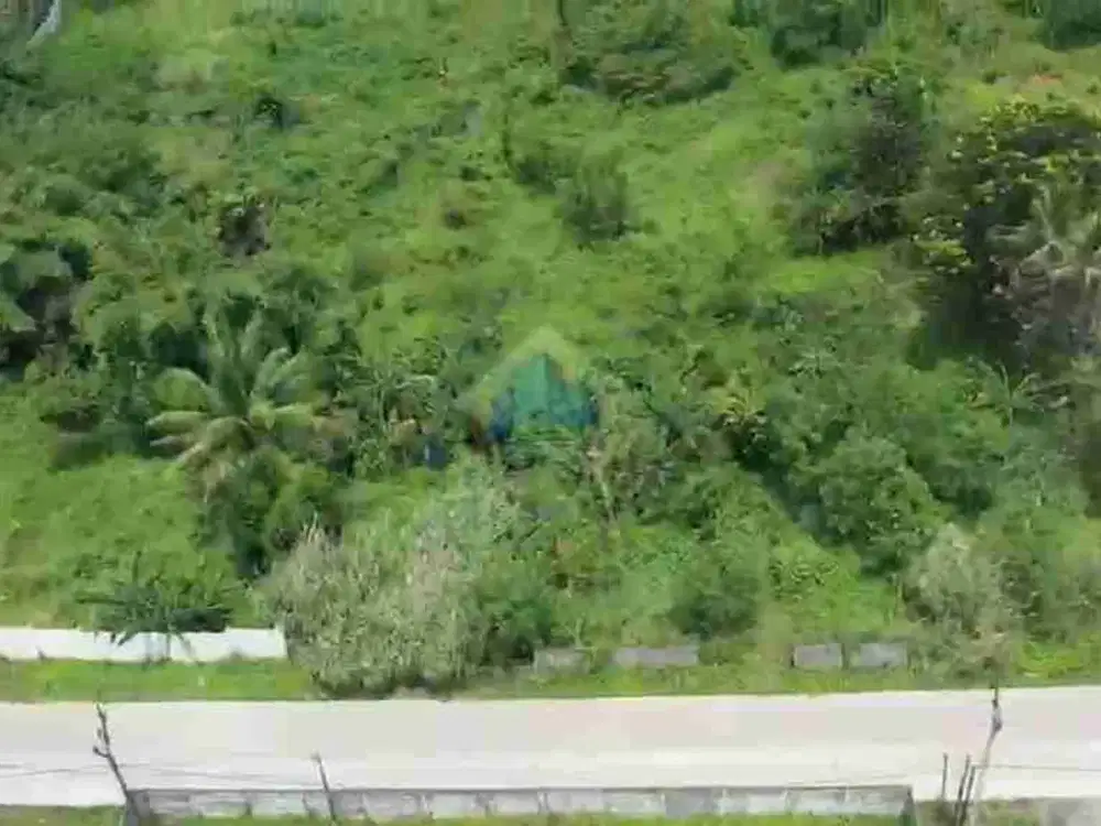 Dijual Tanah Darat Strategis di Jl Raya Parung Panjang - Rumping, Akses Jalan Besar!