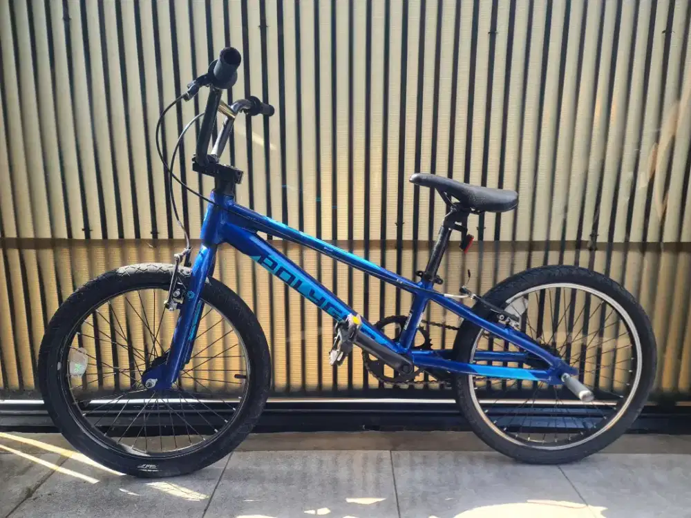 BMX Polygon Rogue