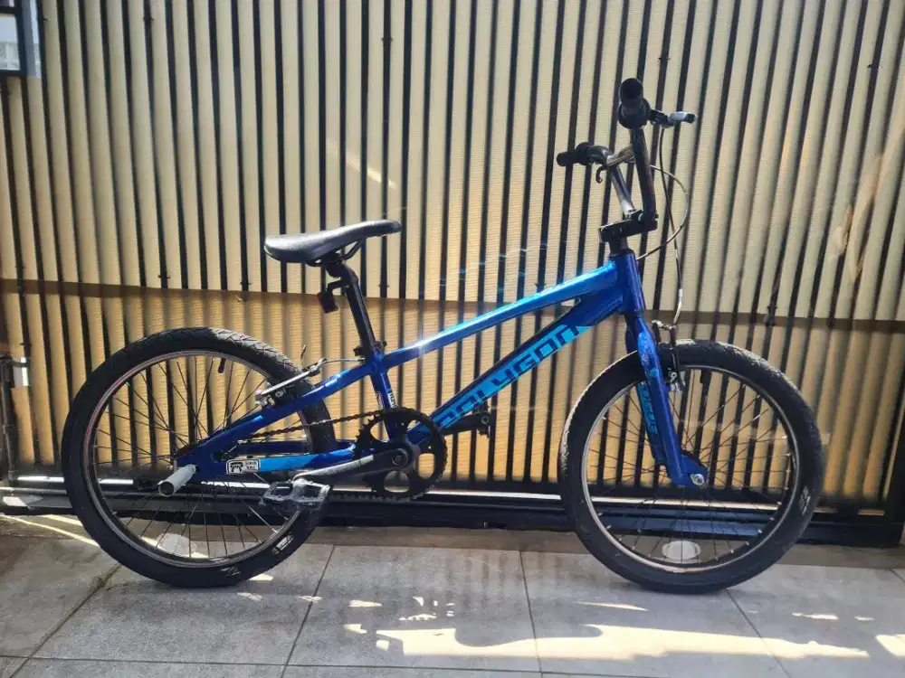 BMX Polygon Rogue