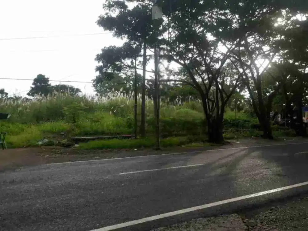 DIJUAL CEPAT TANAH SANGAT STRATEGIS DAERAH KALAWAT, HARGA SANGAT MURAH