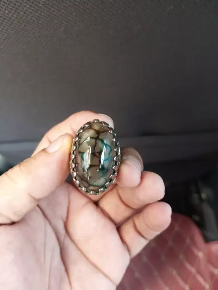 Batu Pandan Sisik naga di belasi timur