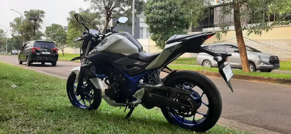 Yamaha MT 25 2015