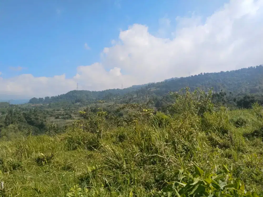 lokasi murah jual cepat pinggir jalan daerah dingin