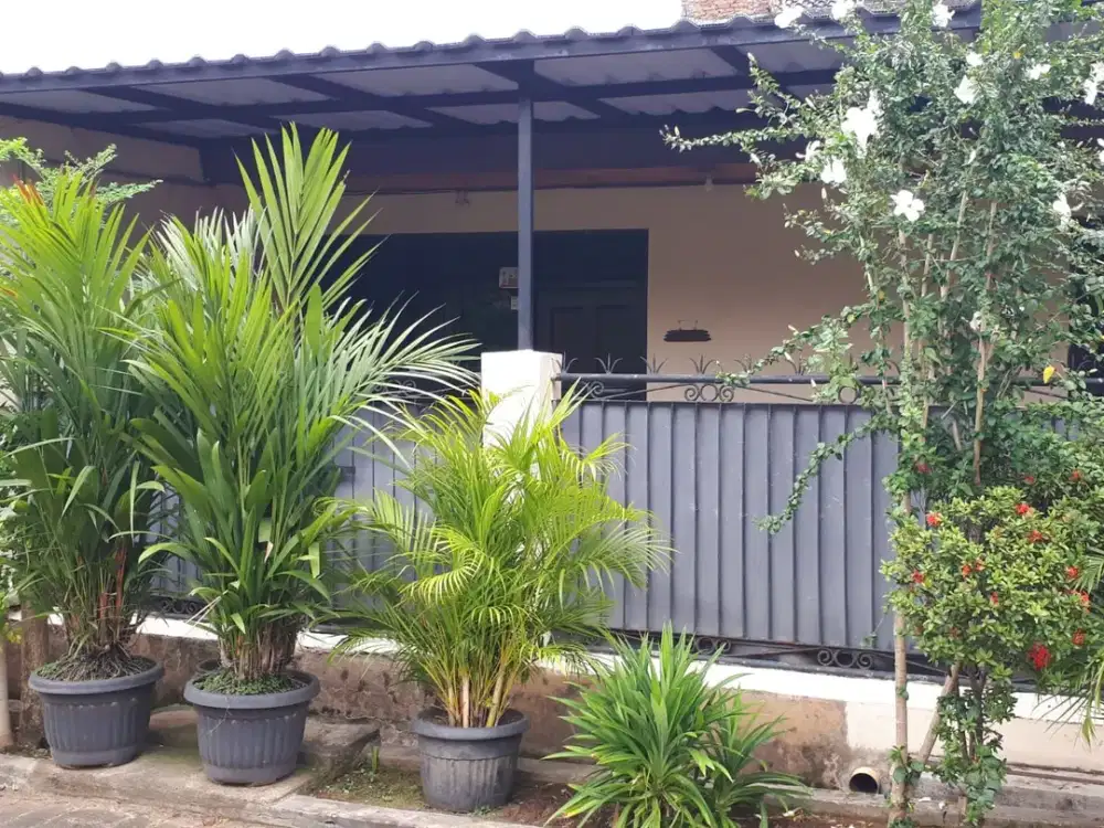 Rumah Bebas Banjir 9 Menit ke RS Mandaya Royal Puri Bisa KPR J-48511