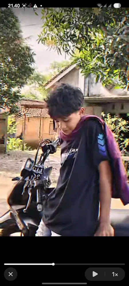 Live tiktok dan ig