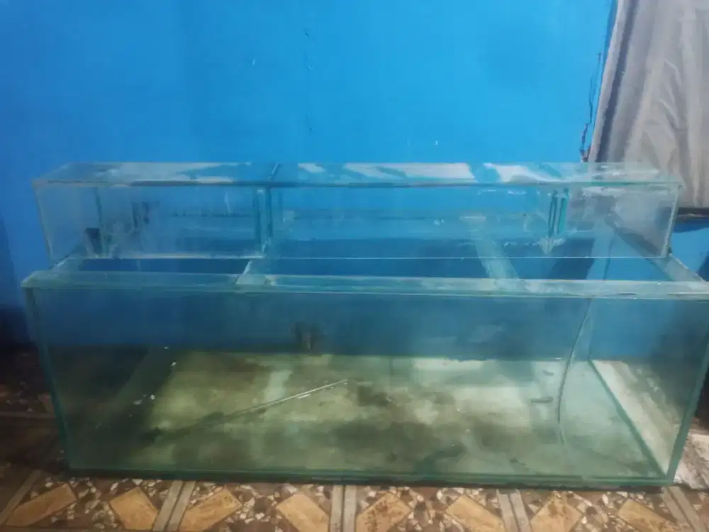 Aquarium jumbo kaca tebal 12 mili full