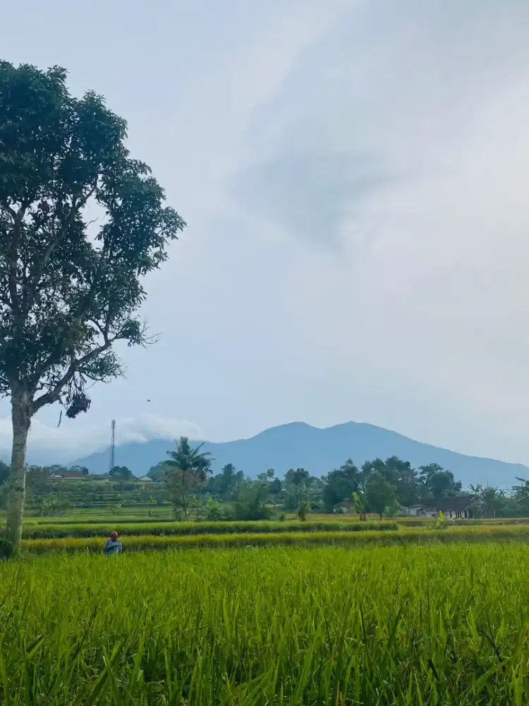 Cari pekerjaan untuk cewe cowo