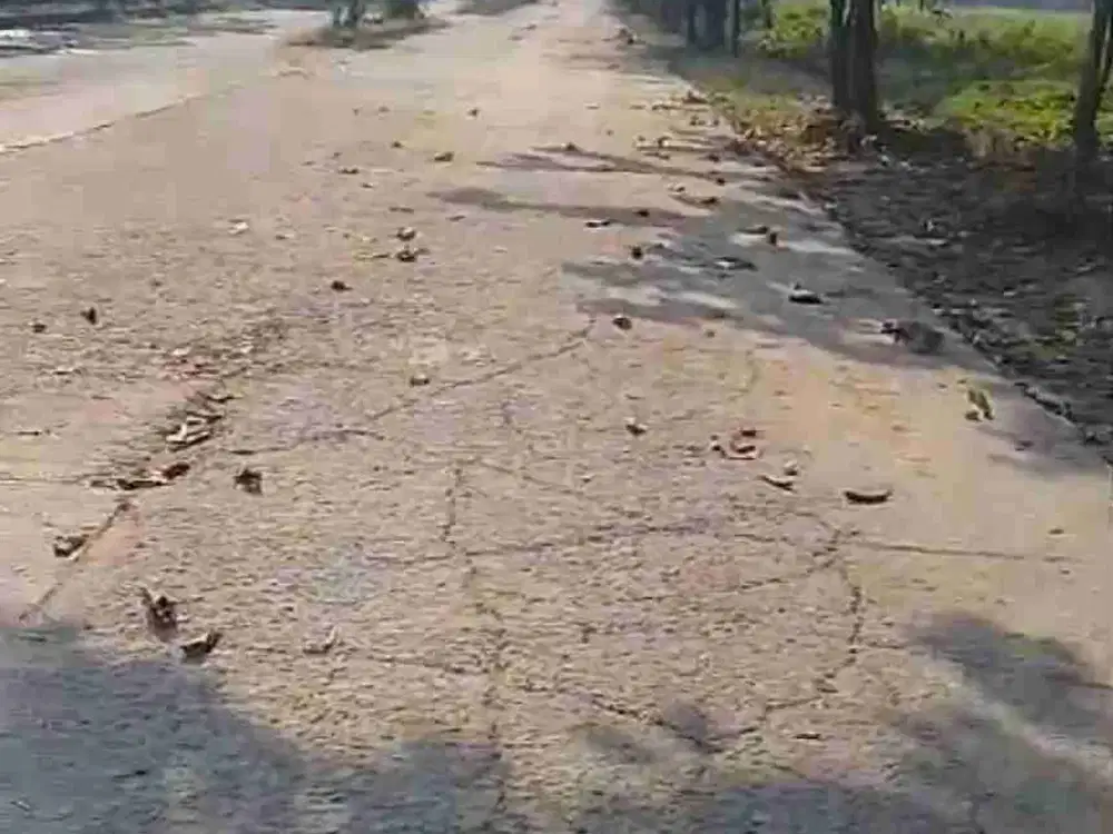 Dijual tanah kawasan industri CBA jadikan serang
