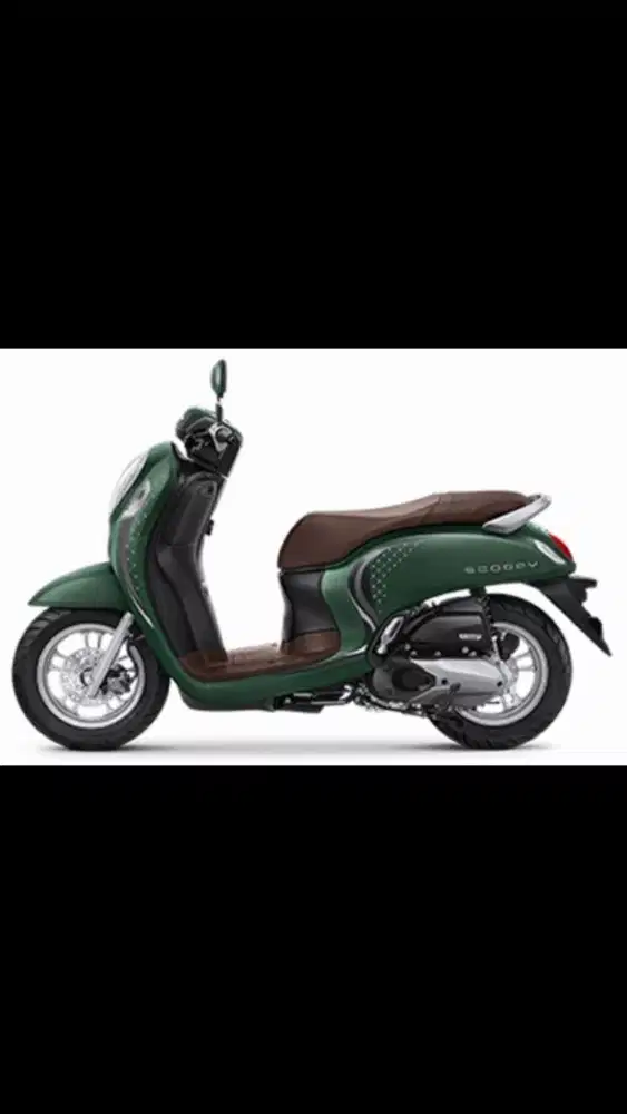 Honda scoopy 2024
