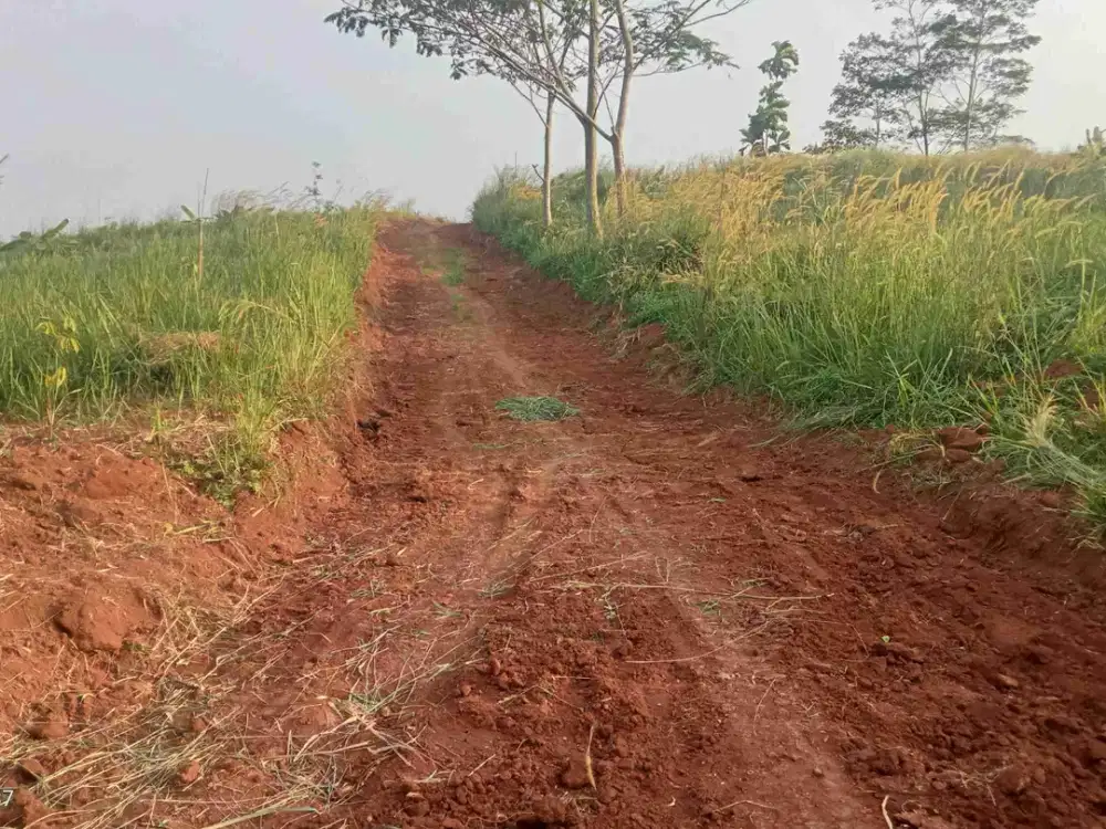 Kebun + Sawah 3000 m, Dekat Pintu Tol, Akses Masuk Mobil. Darangdan, Purwakarta.
