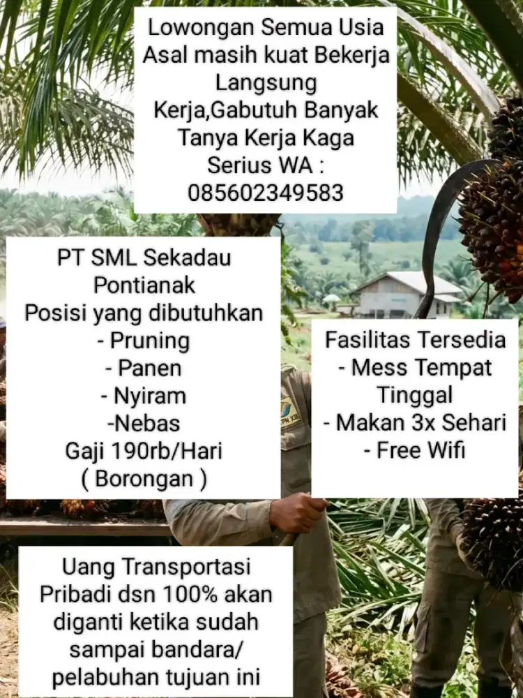 Lowongan Kerja 2026 Semua Usia Terbaru