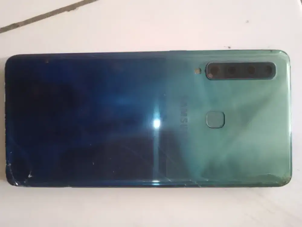 Samsung A9, Minus