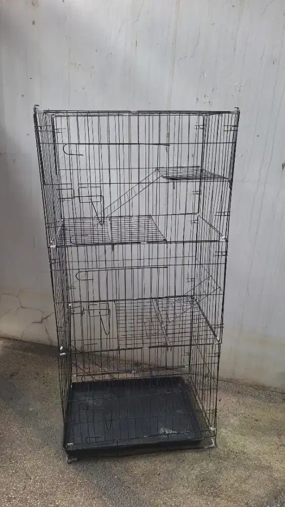Kandang anak kucing