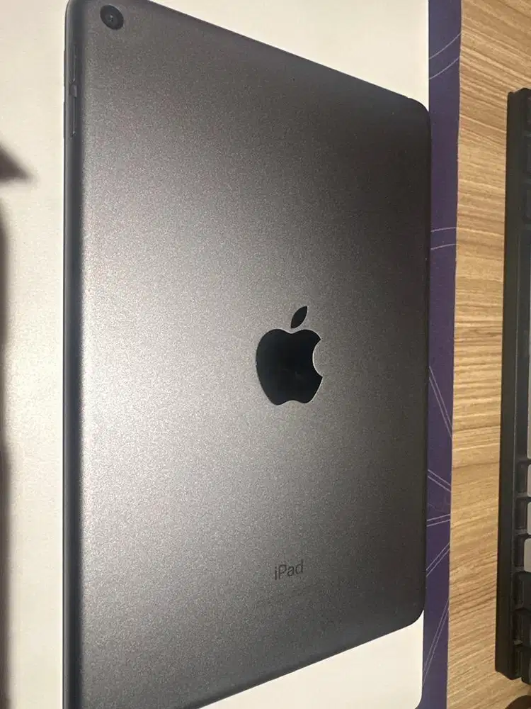 Ipad Mini 5Gen Wifi Only + Pencil
