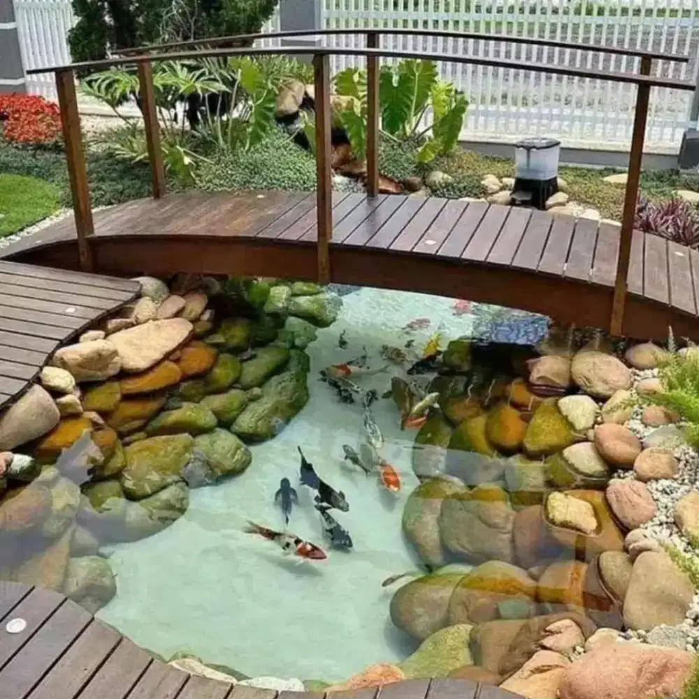 Kolam koi nuansa alam