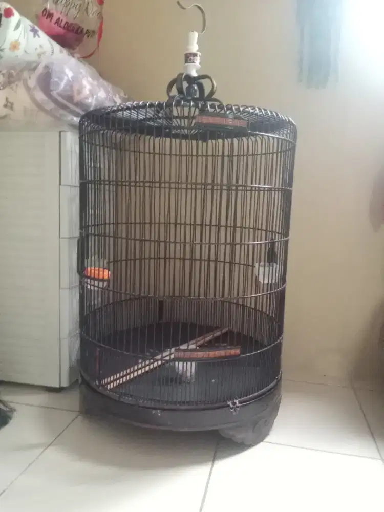 Kandang murai no.1