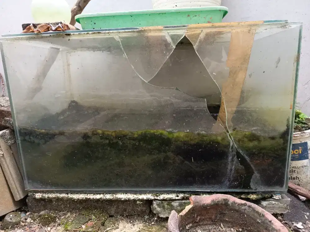 Hibah aquarium pecah