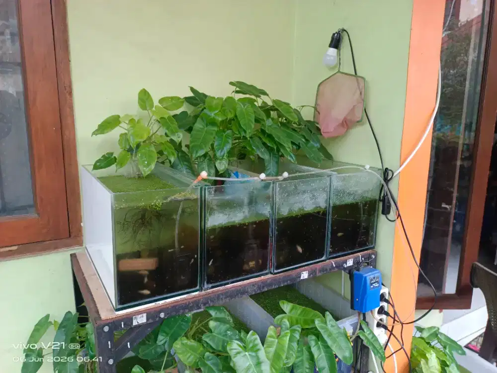 Dijual aquarium 40x20x25