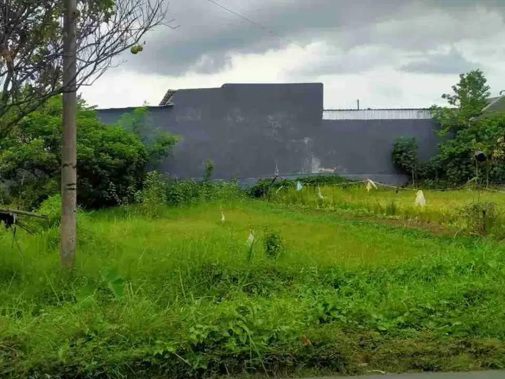 TANAH 184 DEKAT KAMPUS PELITA HATI ANTIROGO SUMBERSARI JEMBER