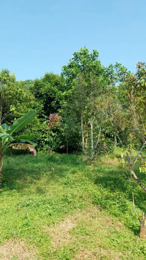 Dijual tanah, 400 m dari Jalur Puncak 2, cocok untuk vila atau kebun