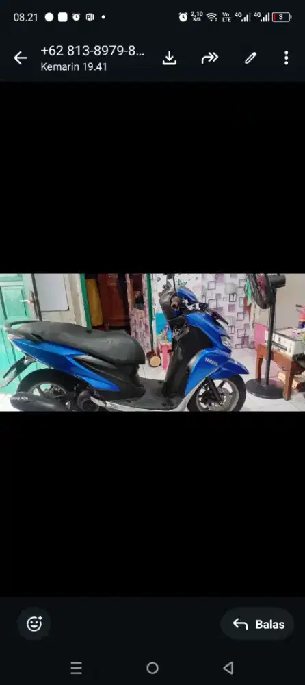 Freggo Blue 2108