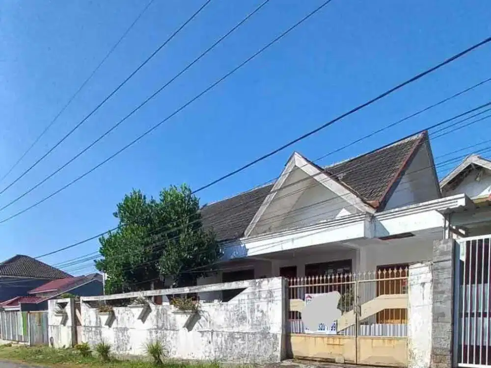 Rumah Area Dieng Luas 400 Lebar 20 Dkt Raya Langsep Ijen
