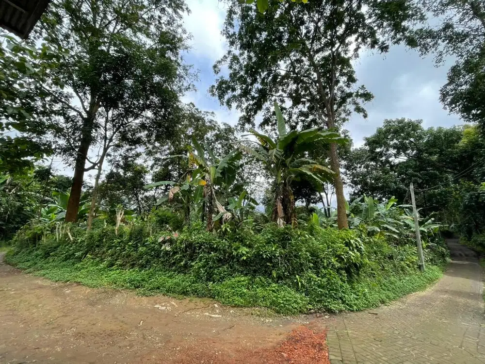 Dijual Tanah Milik Pribadi