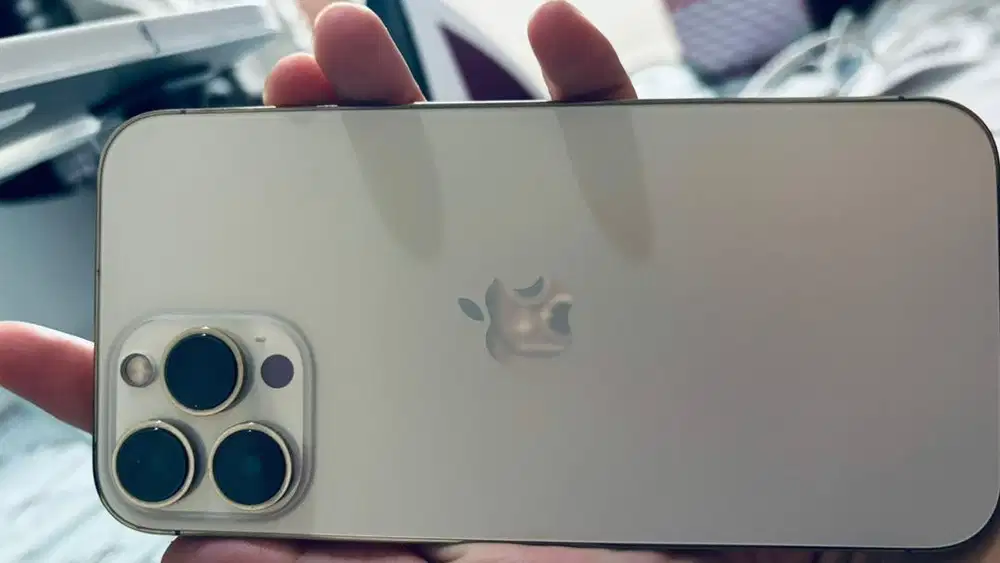Iphone 13 promax inter