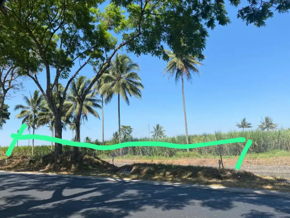 TANAH SHM 2434 m² PINGGIR JALAN RAYA GONDANGLEGI MALANG LEBAR MUKA 50M