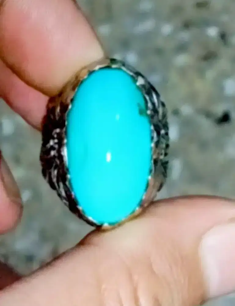Pirus Persia neyzabur asli