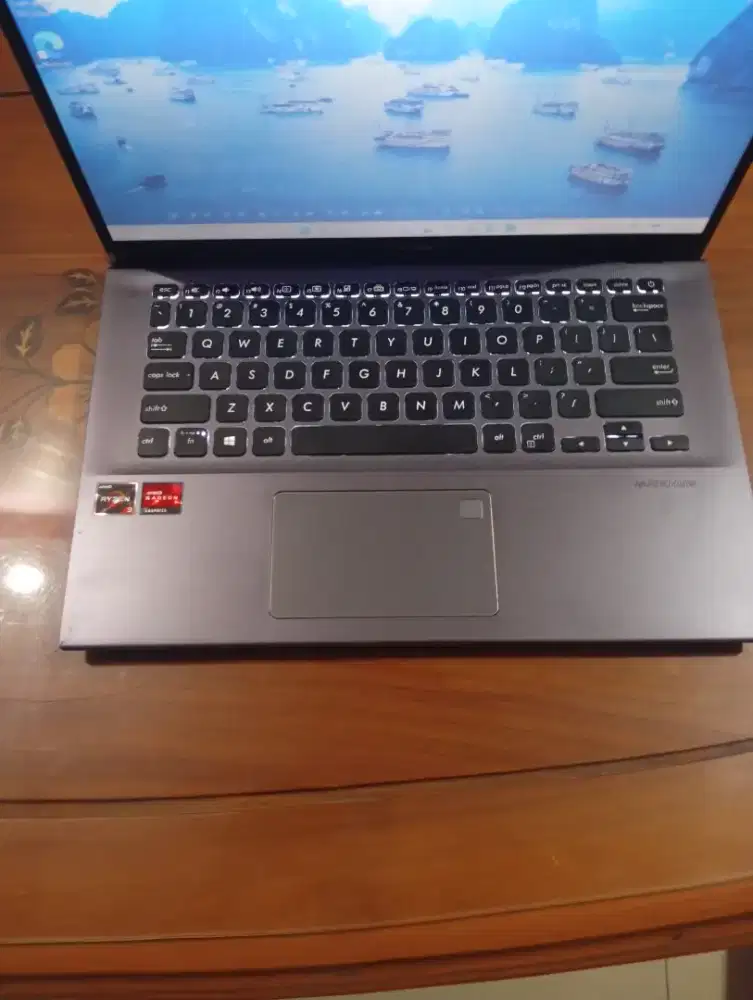 Asus Vivobook Ryzen Ram 8 SSD nvme 256gb