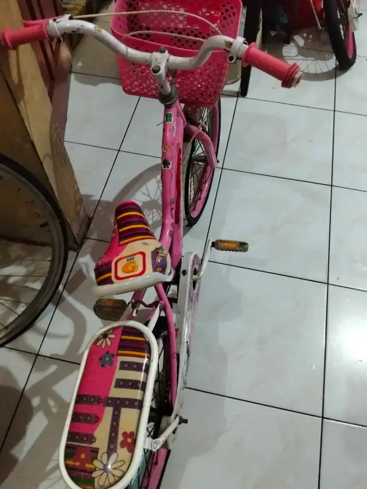 Sepeda Anak Warna Pink