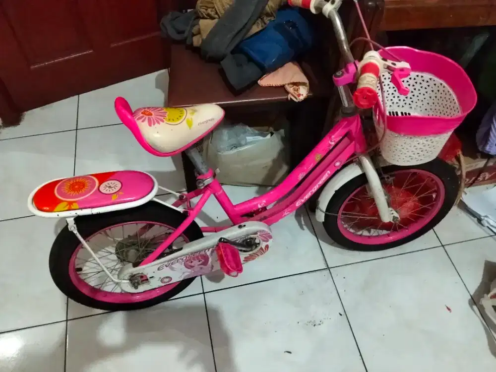 Sepeda Anak Warna Pink