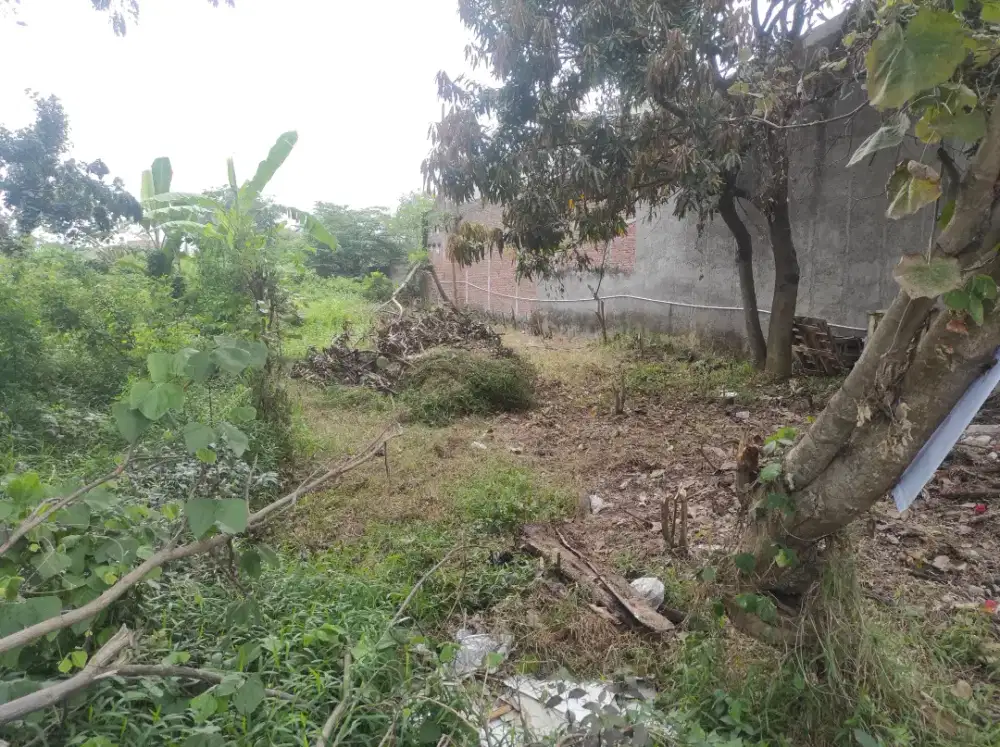 DIJUAL TANAH PEKARANGAN