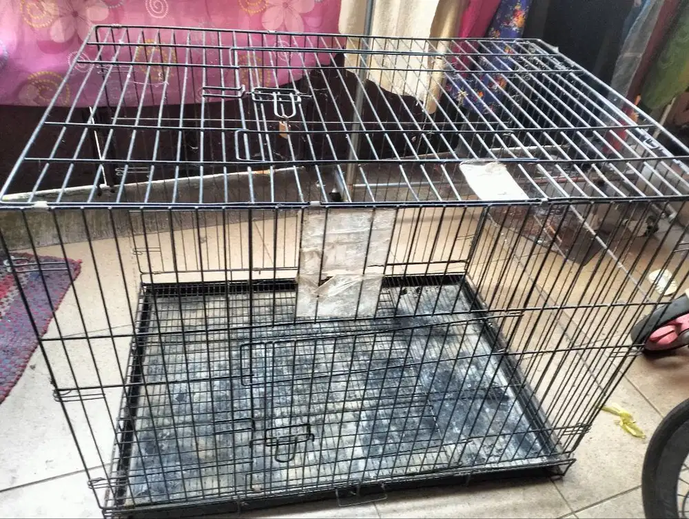 Kandang kucing BESAR uk 90