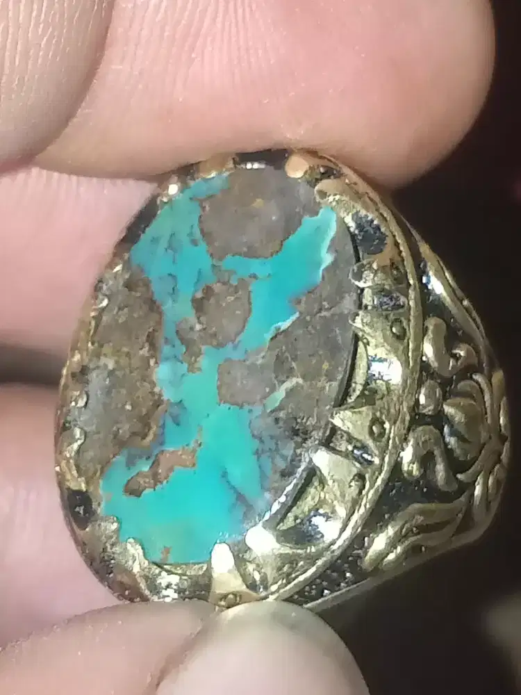 Pirus Persia loreng