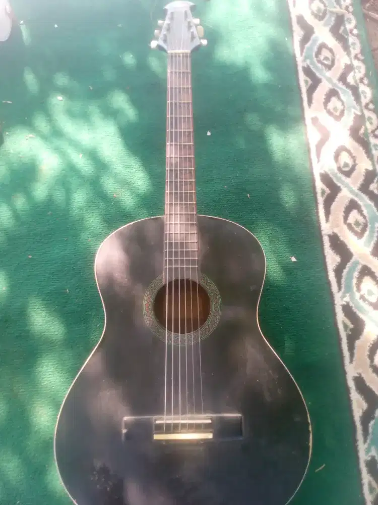 Gitar Alegro type FCI