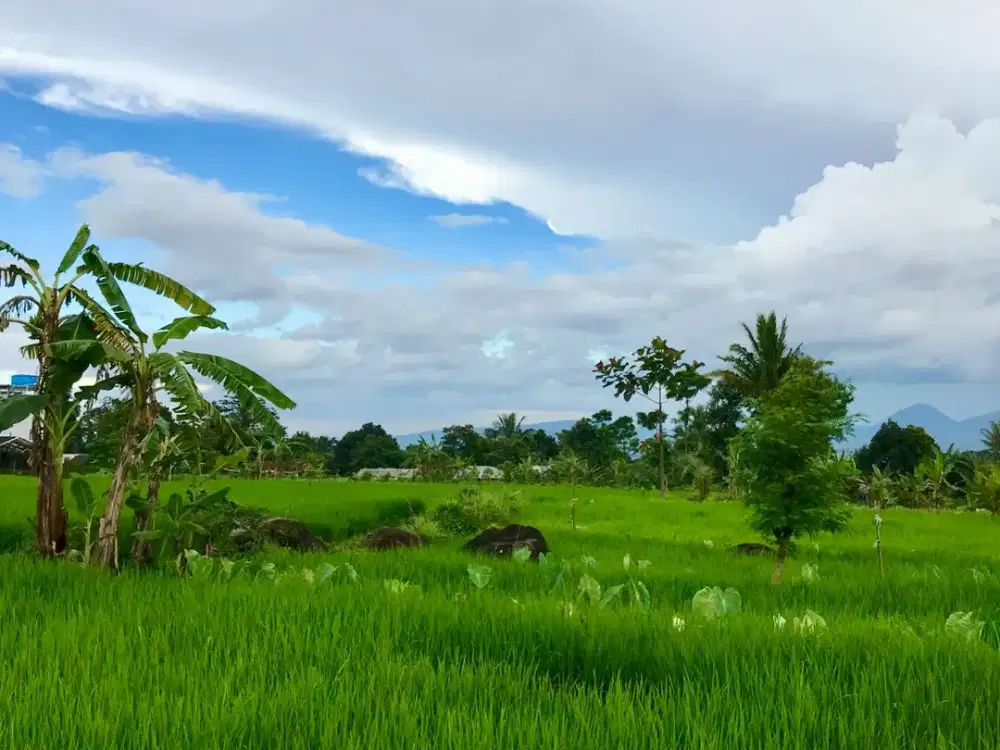 Dijual Tanah pemandangan gunung cijeruk bogor cocok utk villa udara dingin,NEGO SAMPAI DEAL! #tanahcijerukdijual #tanahbogordijual #tanahmurahbogor #