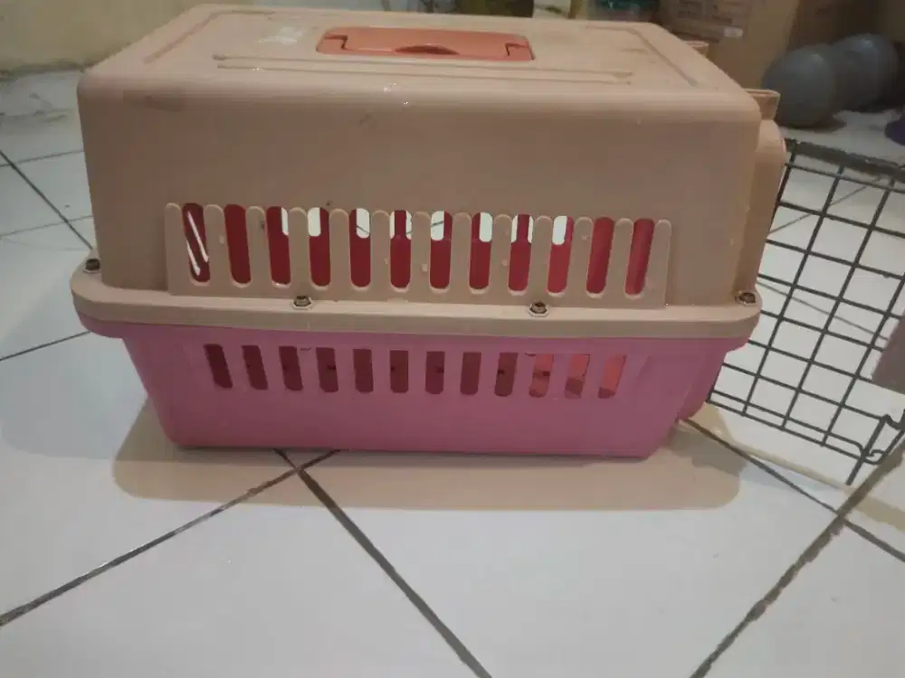 PETCARGO KUCING JUMBO