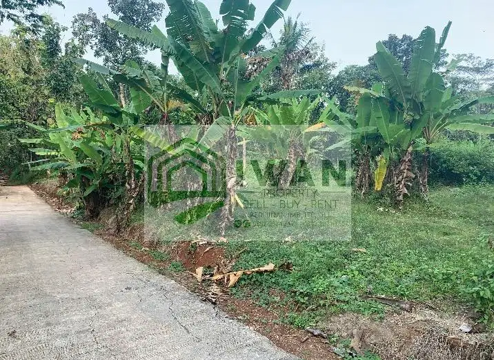 Tanah Luas & Murah Hadap Jalan Cor