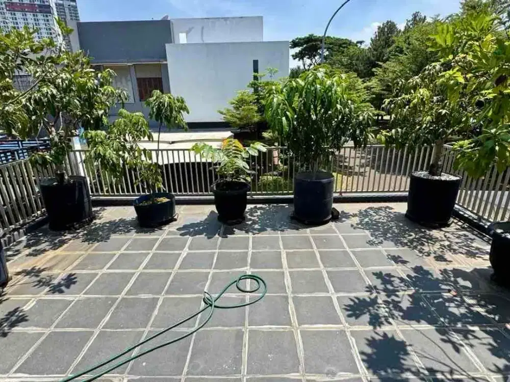 Rumah Dijual The Green BSD – Siap Huni 3 Kamar Tidur LT 120 LB ±200 SHM Nego