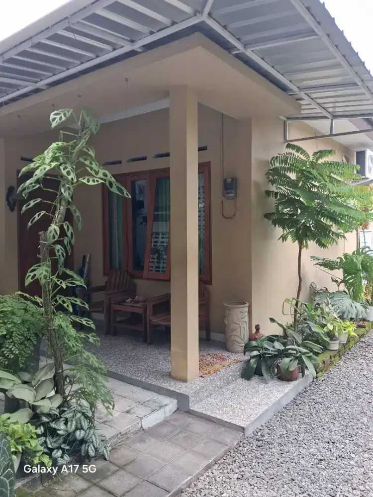 Rumah Kos dan Ruang Usaha