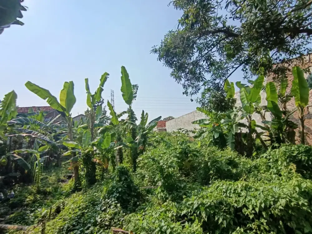 Tanah Strategis, Pinngir Jalan Raya Daerah Semarang Timur - 11515