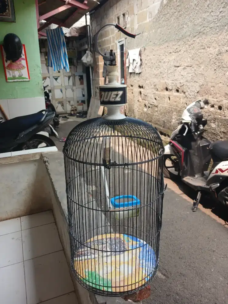 Kandang burungg