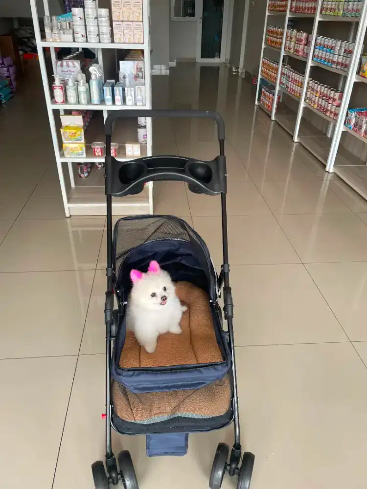 Pet stroller untuk anabul kesayangan